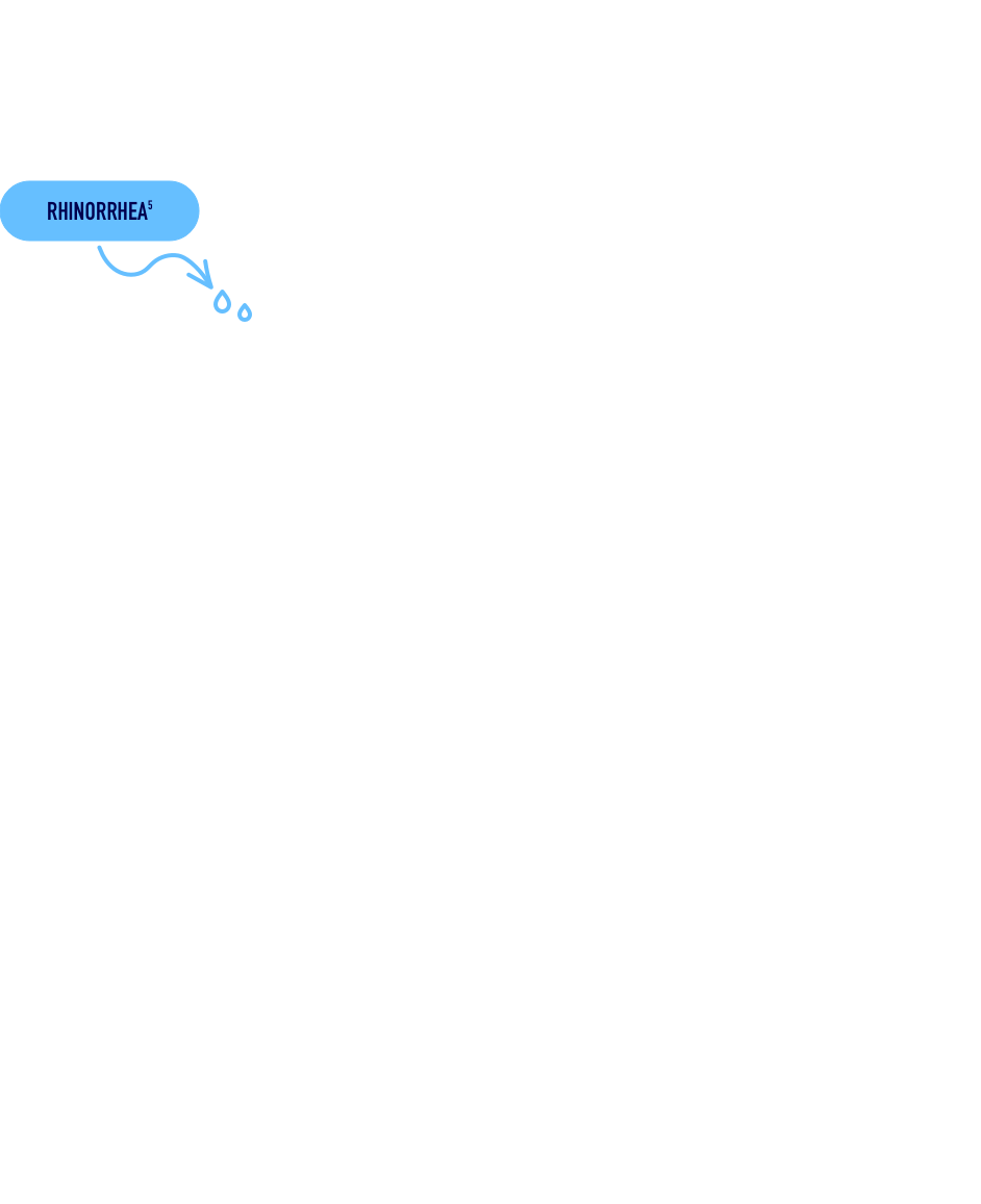 Illustration of respiratory track showing points where RSV infection symptoms could occur.